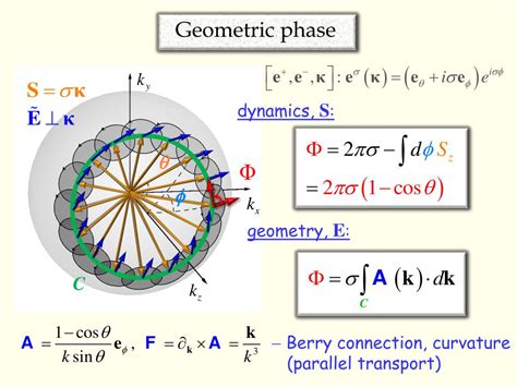 what is phase dynamics